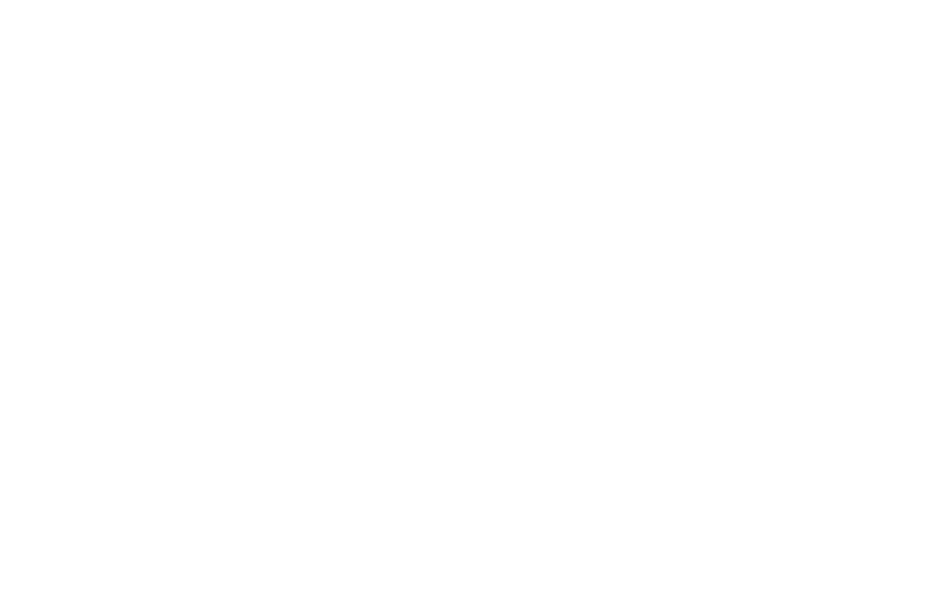 Den Skæve Streg